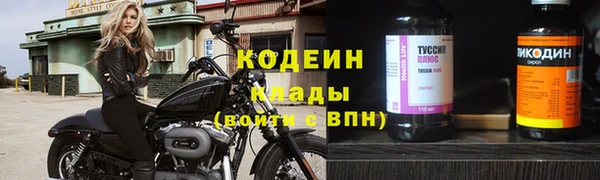 СК Снежногорск