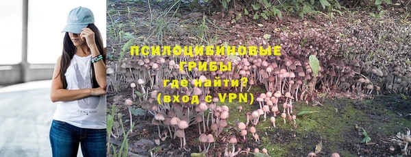 apvp Балабаново
