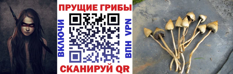 купить закладку  Белогорск  Псилоцибиновые грибы ЛСД 